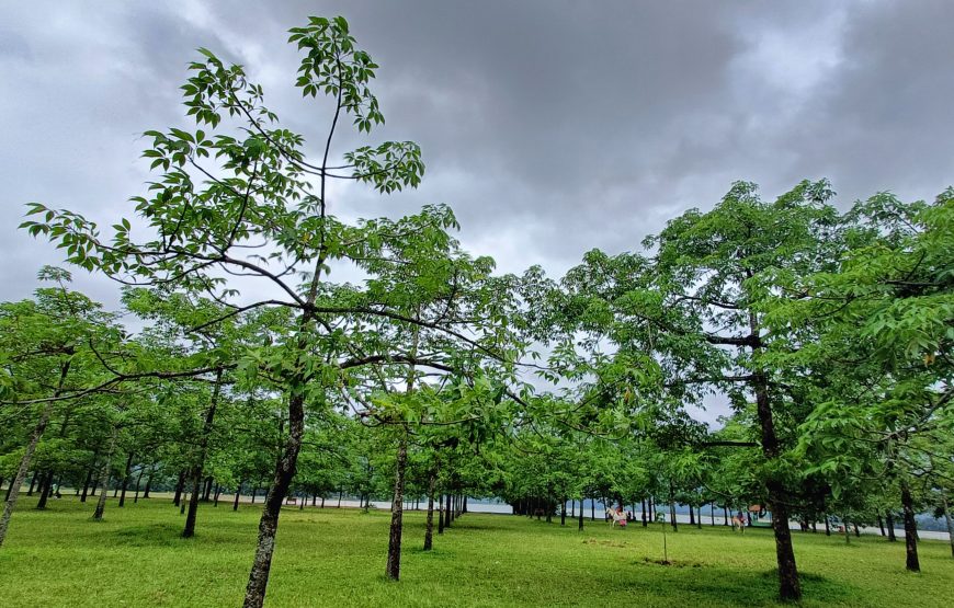 পূর্নিমায় লোকজ সংগীতের মেলায় ট্যুরন্তের সাথে টাঙ্গুয়ার হাওড় ভ্রমন ১৪ই নভেম্বর ২০২৪