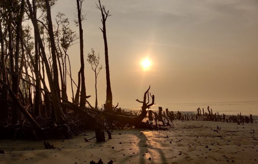 বাঘ মামার বাড়ি সুন্দরবনে ট্যুরন্তে সাথে ৭ই নভেম্বর ২০২৪