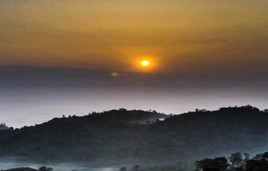 রঙের রাজ্য সাজেকে ট্যুরন্তের সাথে