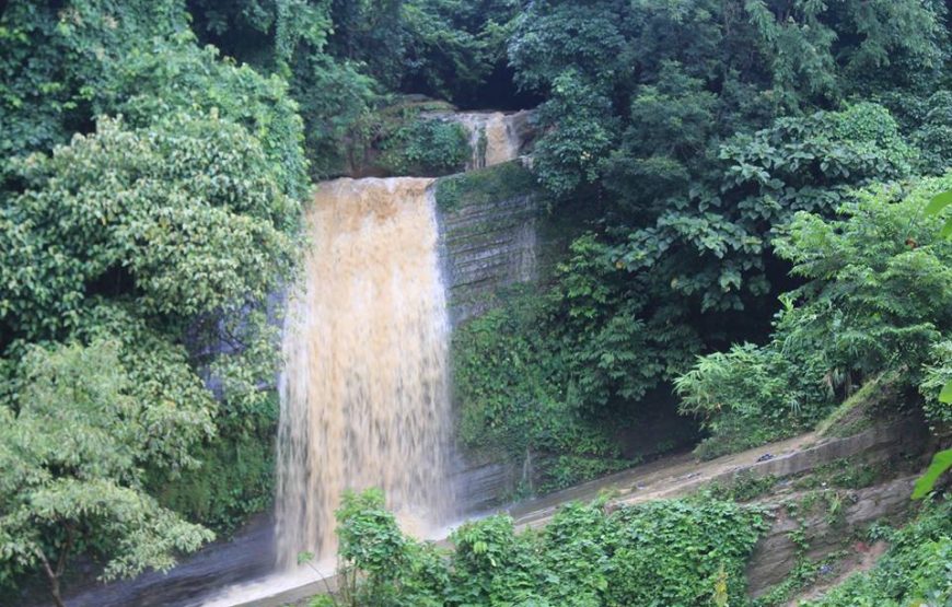 রঙের রাজ্য সাজেকে ট্যুরন্তের সাথে