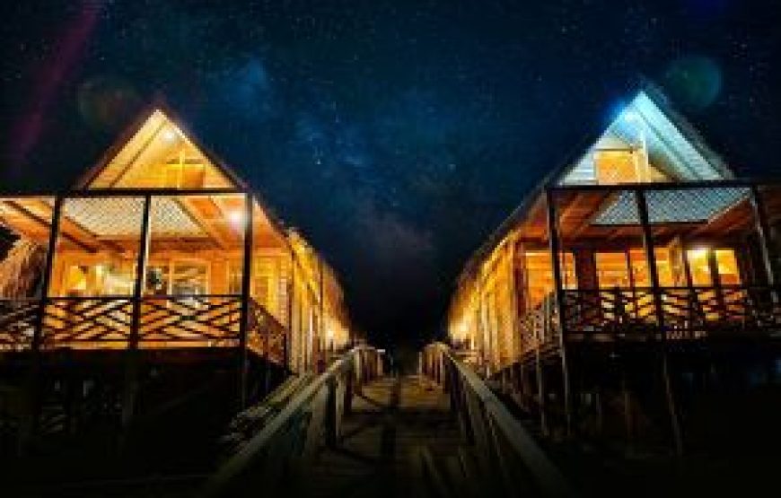 রঙের রাজ্য সাজেকে ট্যুরন্তের সাথে