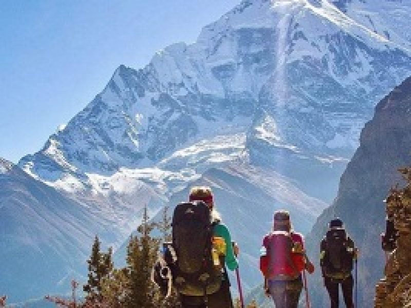 Travel with Utmost, Standard, Safety, and Trust.