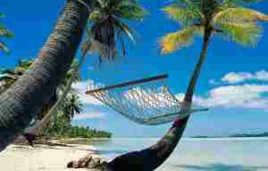 সেন্ট মার্টিনে নববর্ষ উদযাপনে ট্যুরন্ত