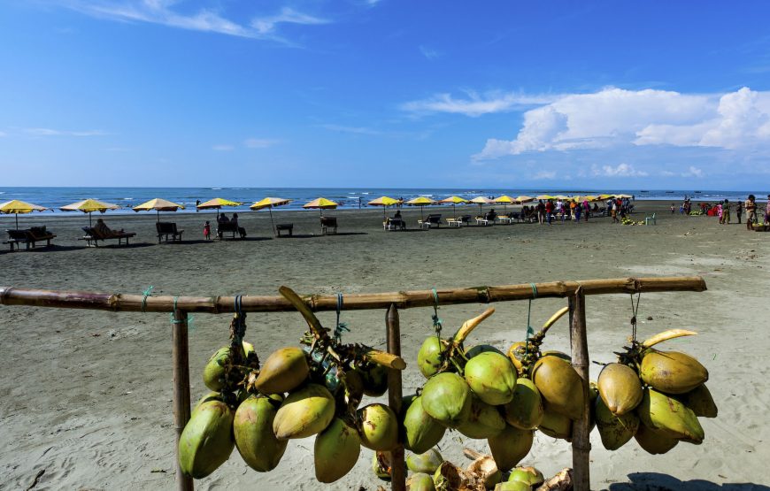 সেন্ট মার্টিনে নববর্ষ উদযাপনে ট্যুরন্ত
