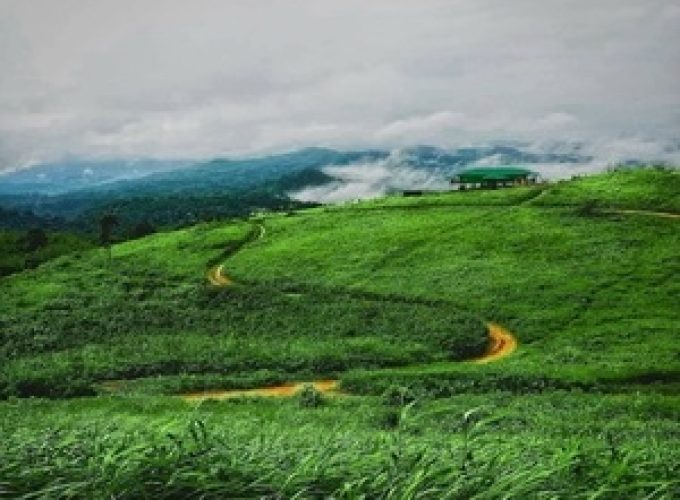 Travel with Utmost, Standard, Safety, and Trust.