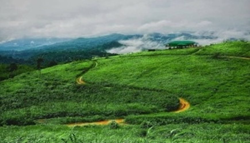 Travel with Utmost, Standard, Safety, and Trust.