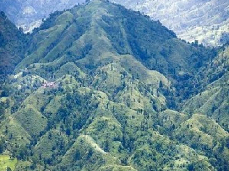 Travel with Utmost, Standard, Safety, and Trust.