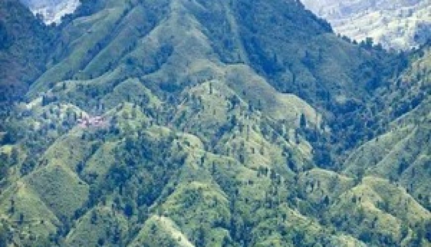 Travel with Utmost, Standard, Safety, and Trust.