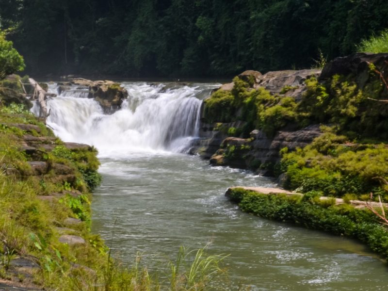 Travel with Utmost, Standard, Safety, and Trust.