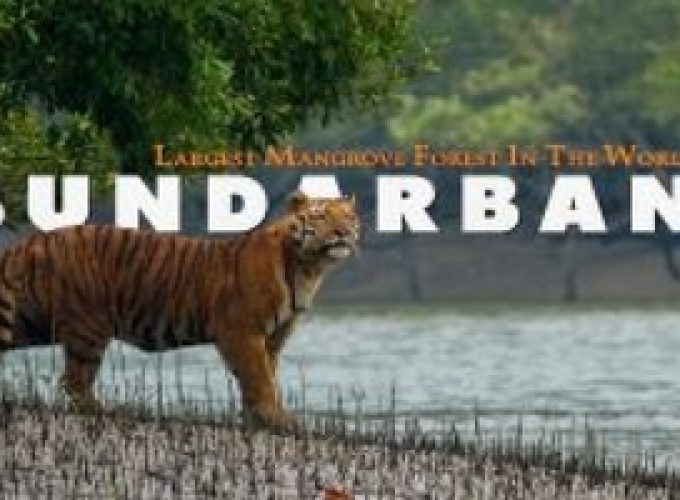 Travel with Utmost, Standard, Safety, and Trust.