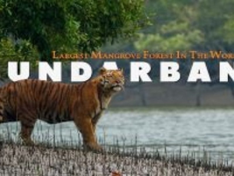 Travel with Utmost, Standard, Safety, and Trust.