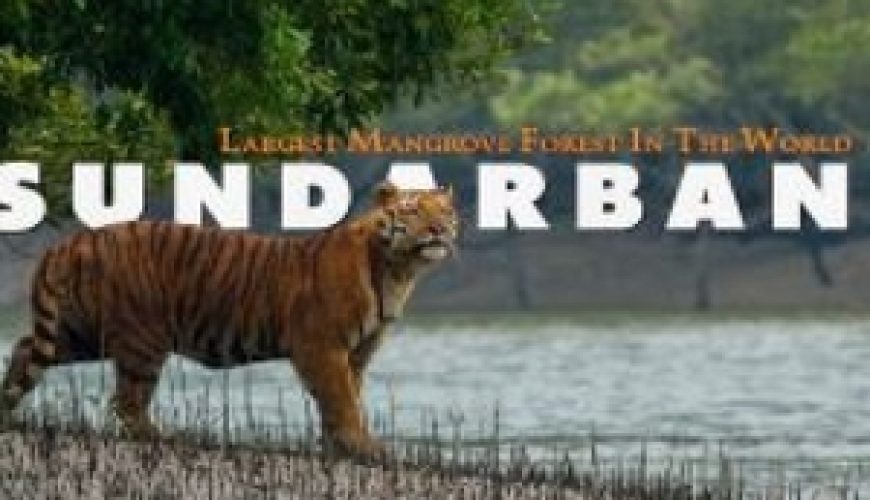 Travel with Utmost, Standard, Safety, and Trust.