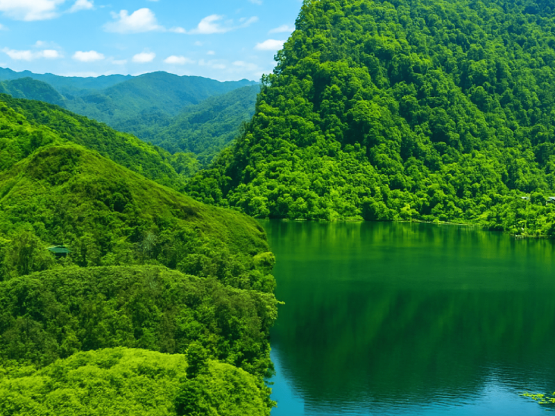 Travel with Utmost, Standard, Safety, and Trust.