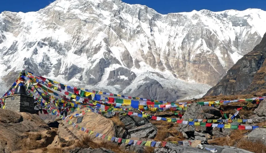 Travel with Utmost, Standard, Safety, and Trust.