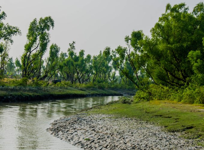 Travel with Utmost, Standard, Safety, and Trust.