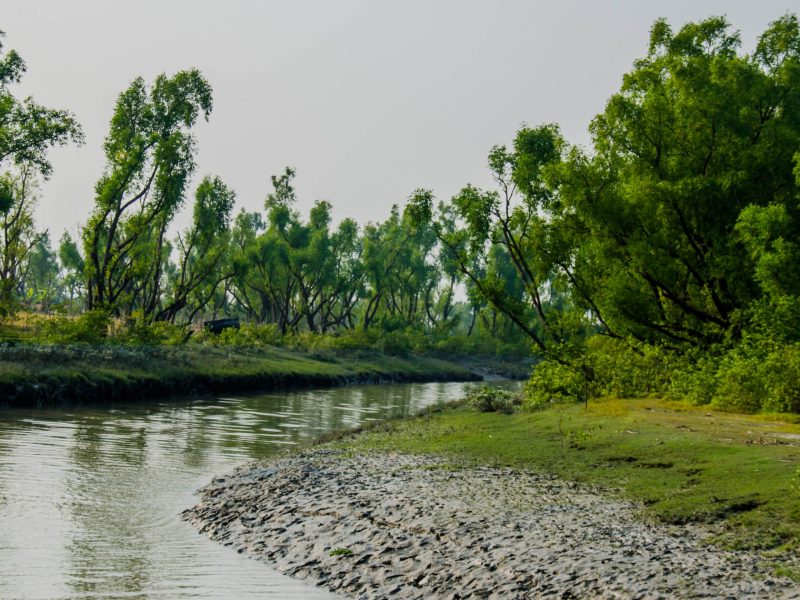 Travel with Utmost, Standard, Safety, and Trust.