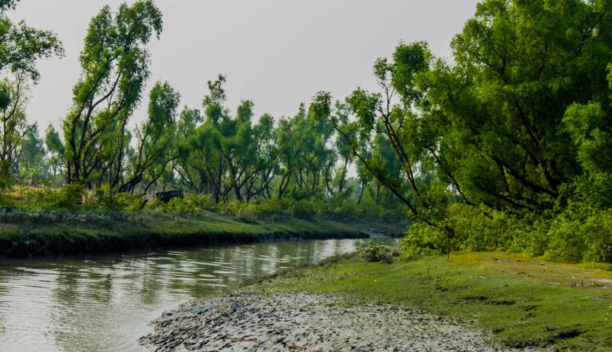 Travel with Utmost, Standard, Safety, and Trust.