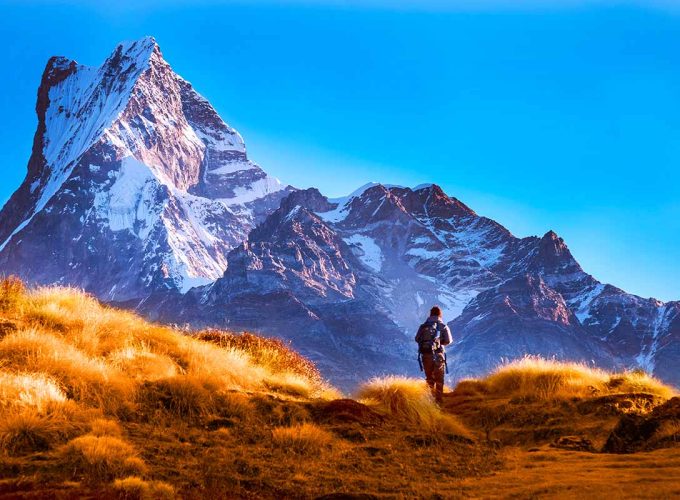 Travel with Utmost, Standard, Safety, and Trust.