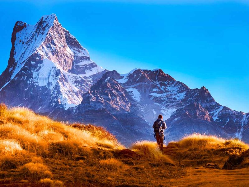 Travel with Utmost, Standard, Safety, and Trust.